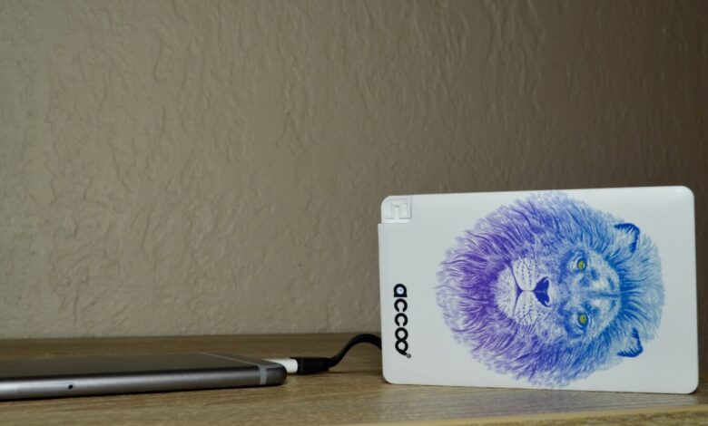 Accoo Accoo 7 scaled [TEST] Accoo – Une batterie externe comme accessoire de mode ! Accoo