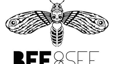 Bee&See logo [CONCOURS] Câble iPhone en cuir tressé turquoise Bee&See câble iphone