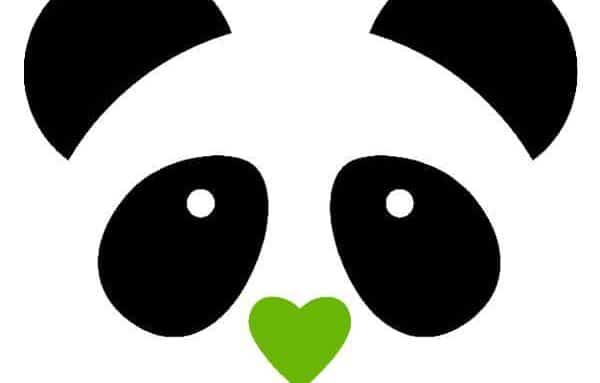 Goodies4Geeks 13510976 264959583861597 4460020316575116797 n Goodies4Geek, des Pandas supers Geek facebook