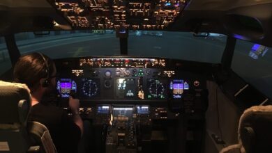 flight experience flight experience 19 scaled Maman j’ai piloté un Boeing 737 avec Flight Experience flight experience