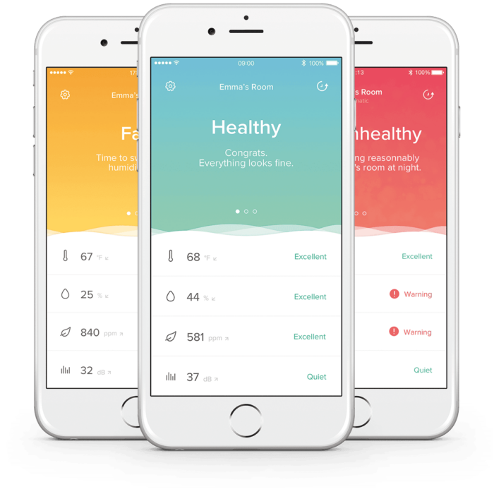 Netatmo Heath Home Coach