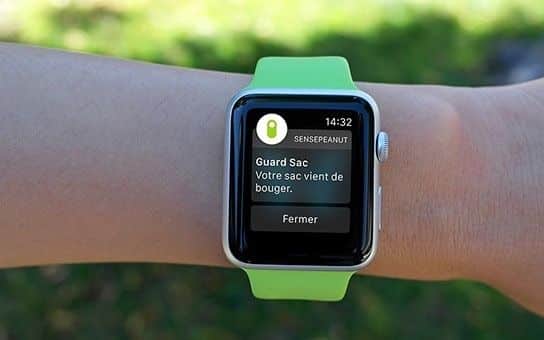 GuardPeanut GuardPeanut 001 [TEST] GuardPeanut, le petit gadget qui surveille ce que vous aimez Android