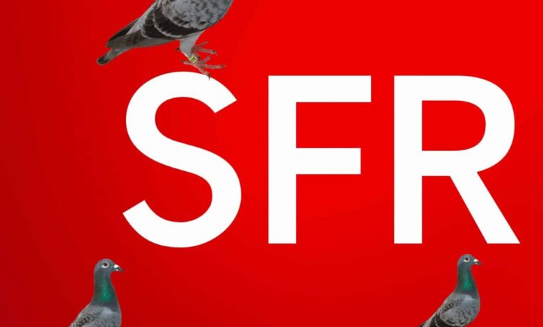 SFR sfr logo2014 exe rvb scaled [ACTU] Comment gagner de l’argent chez SFR ? Une nouvelle astuce ! 5 euros