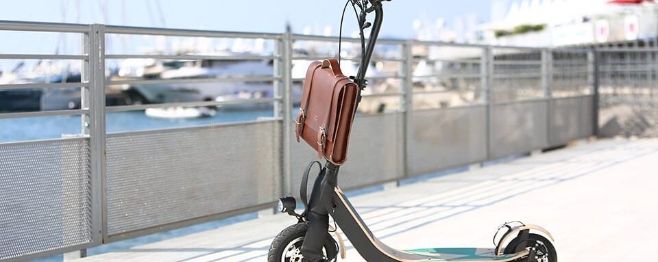 trottinette labelle Découvrez Lab’elle : Une trottinette électrique de luxe Bois