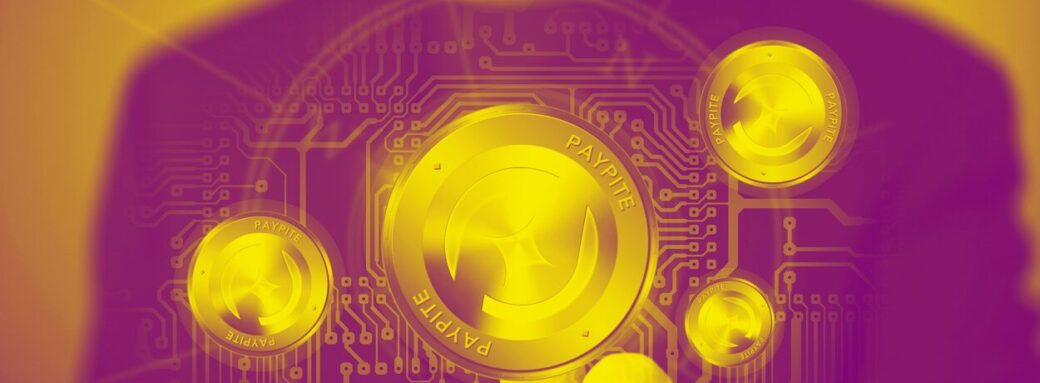 crypto-monnaies Paypite Sondage : Les français sont-ils prêts à recevoir un salaire en crypto-monnaies ? crypto-monnaies