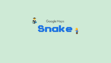 Snake on Google Maps