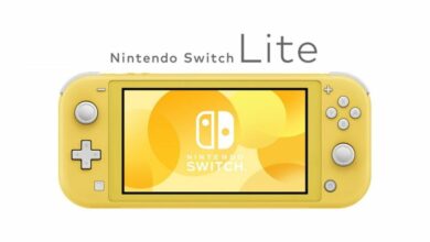 Nintendo dévoile enfin la Nintendo Switch Lite ! Console