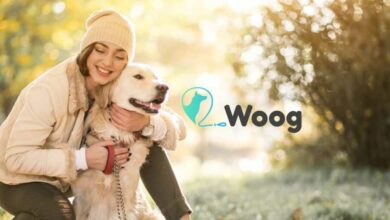 Woog : L’application qui révolutionne les balades canines Application collaborative
