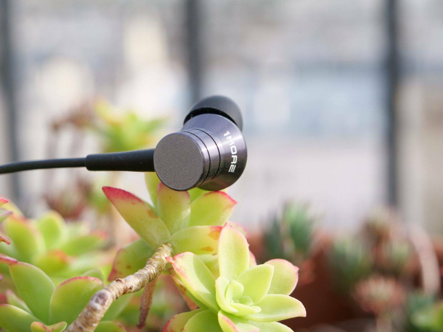 1More Piston Fit Bluetooth écouteur seul sur une plante