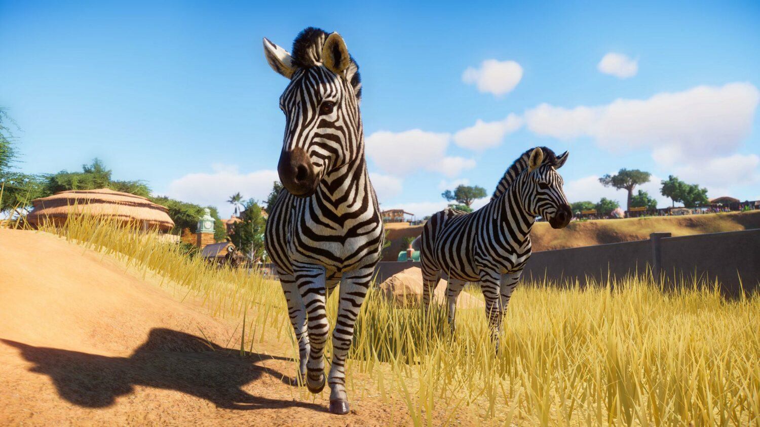 planet zoo Zebre