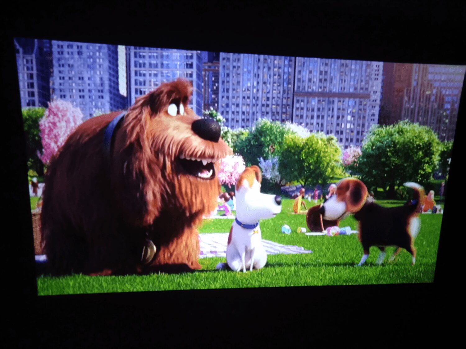 Un beagle sur mon mur en affichage sur 2 m