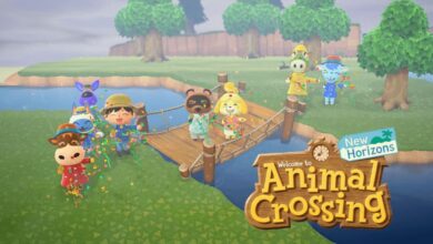 animal crossing new horizons bien equiper selection accessoires
