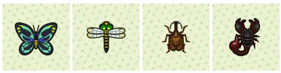 animal-crossing-new-horizons-insectes-mai-mois