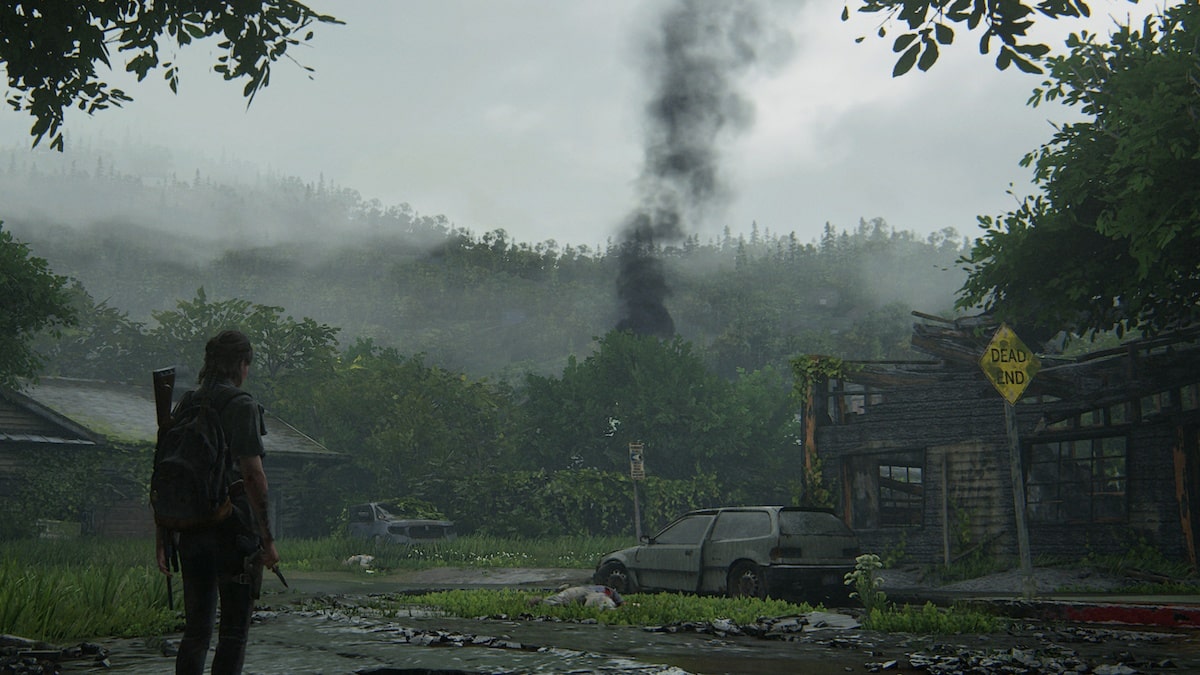 The Last of Us 2: تسريبات ضخمة وتكشف سوني عن التاريخ 47
