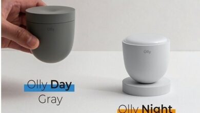 Olly Day and Olly Night