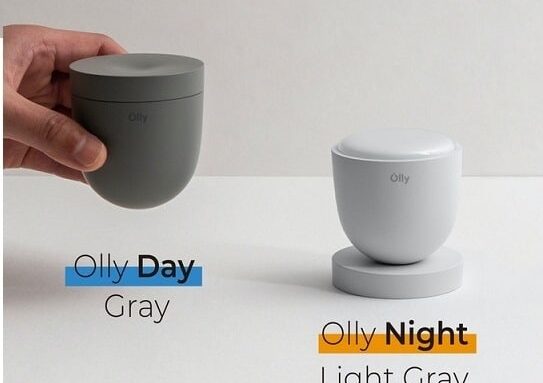 Olly Day and Olly Night