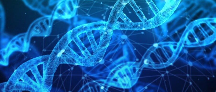 Pangyo s’impose sur le marché mondial de la biosanté pangyo