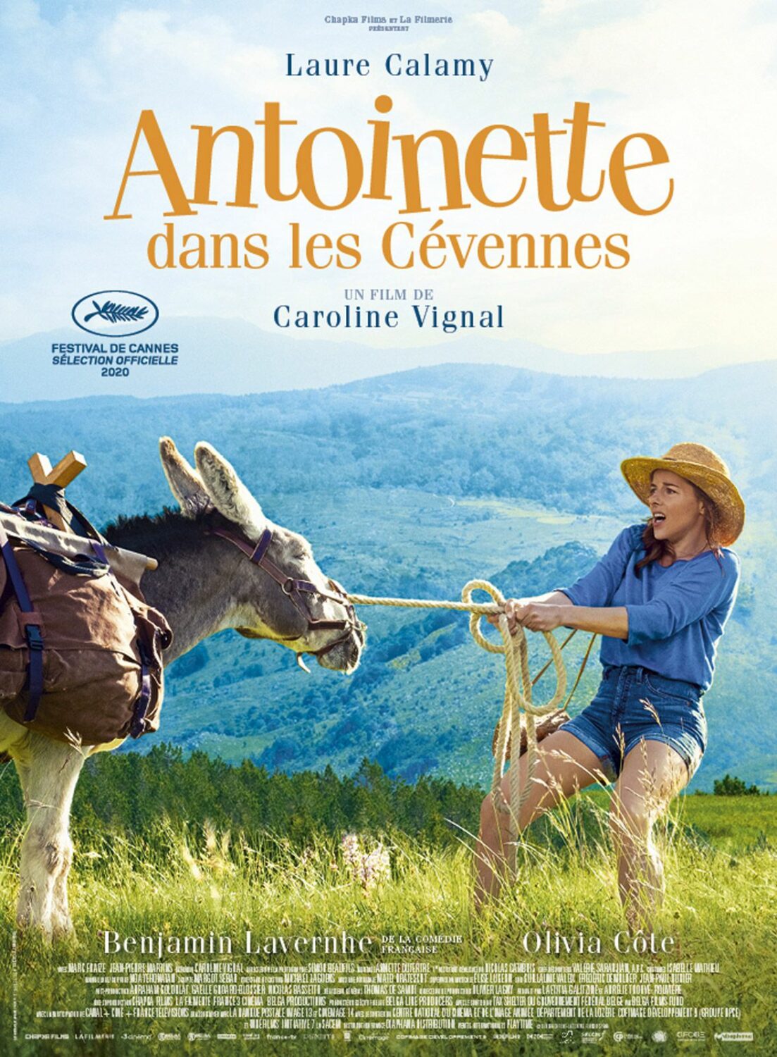 Affiche du film Antoinette dans les Cévennes
