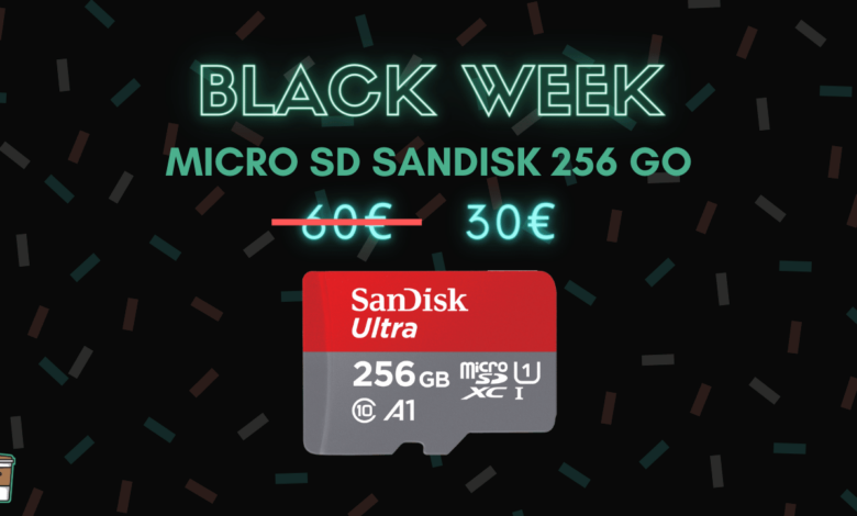 micro-SD-SanDisk-Ultra-256-Go-bon-plan-black-friday