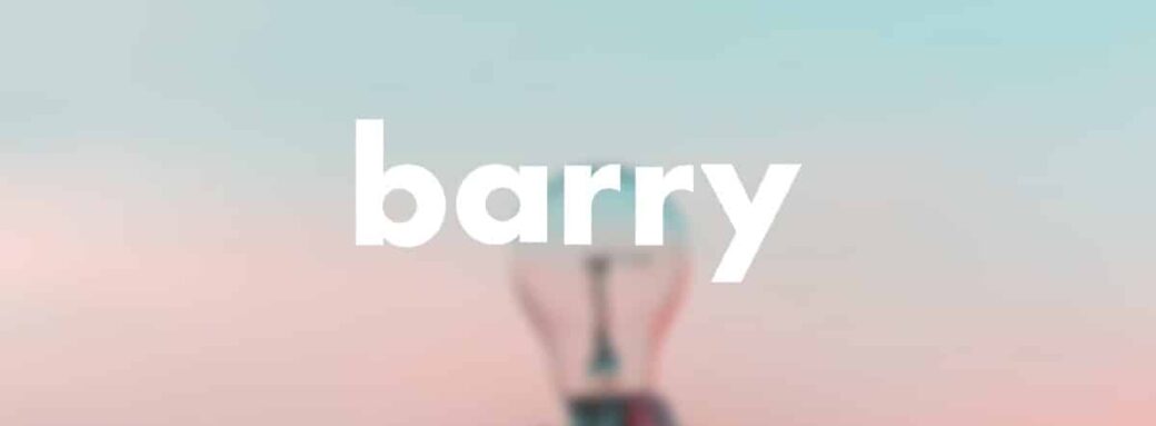 Barry, le fournisseur d’électricité 100% digital arrive en France Barry