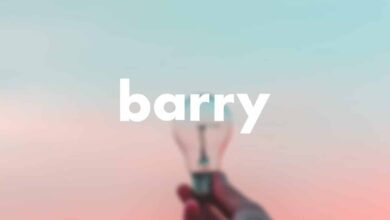 Barry, le fournisseur d’électricité 100% digital arrive en France Barry