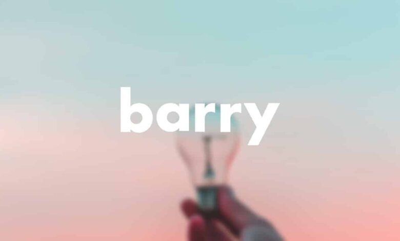 Barry, le fournisseur d’électricité 100% digital arrive en France Barry