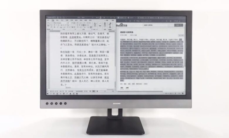 Dasung Paperlike 253 : le premier écran PC à encre électronique