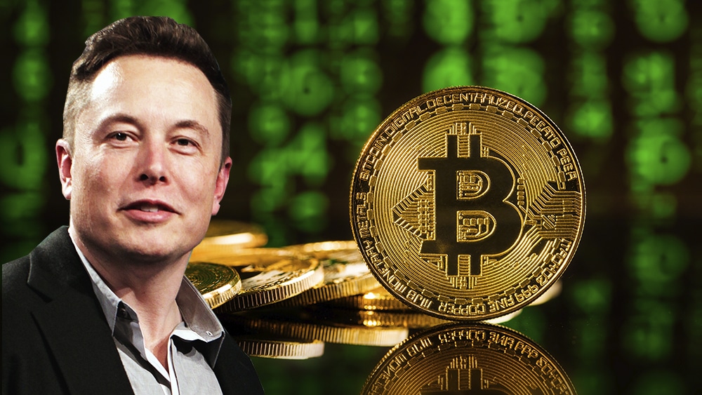 StopElon : une cryptomonnaie pour stopper Elon Musk cryptomonnaie