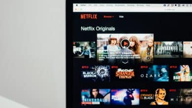 Netflix aimerait lancer une nouvelle plateforme du nom de N-Plus Films