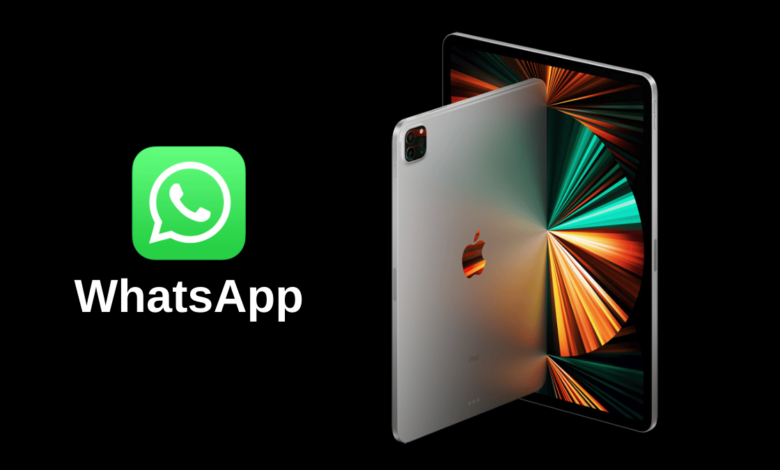 whatsapp-application-ipad-tablettes-android