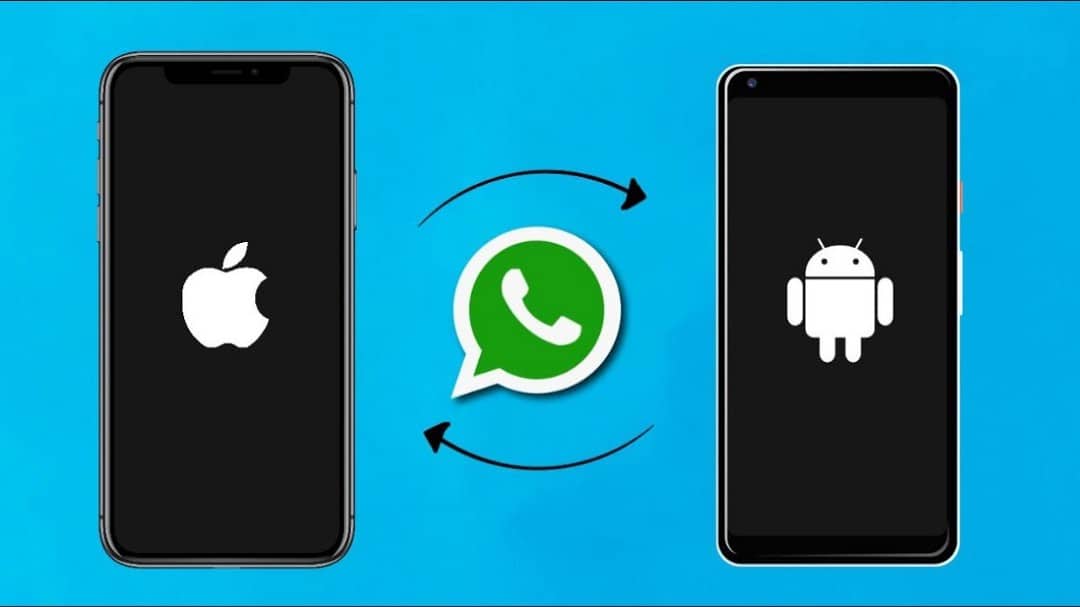 Transferer-Conversations-Whatsapp
