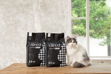 litiere pour chat Alfred marc cafe