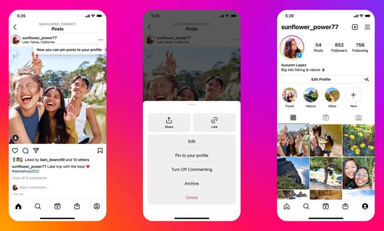 instagram-epingler-publication-stories-profil