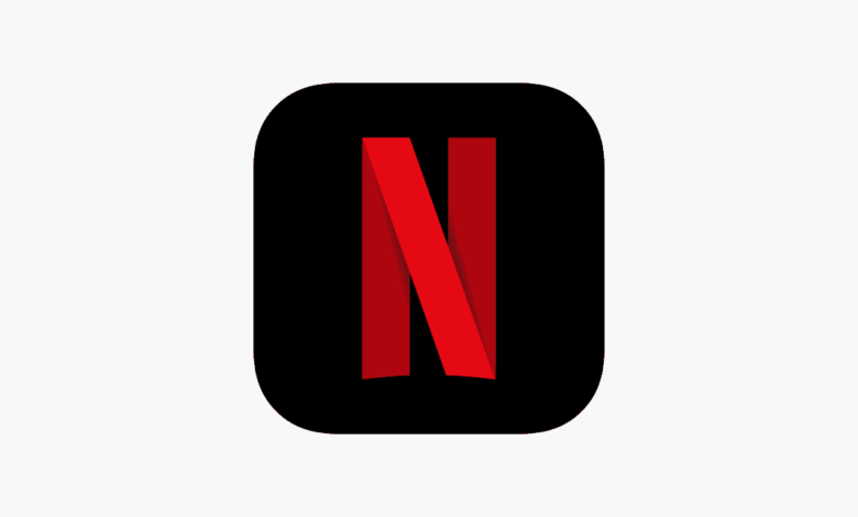 Netflix abonner application iOS iPadOS