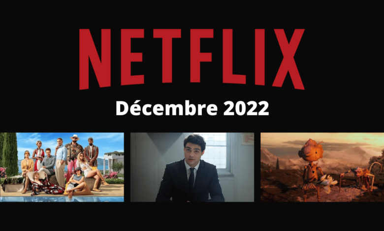 Netflix-series-films-a-voir-decembre-2022