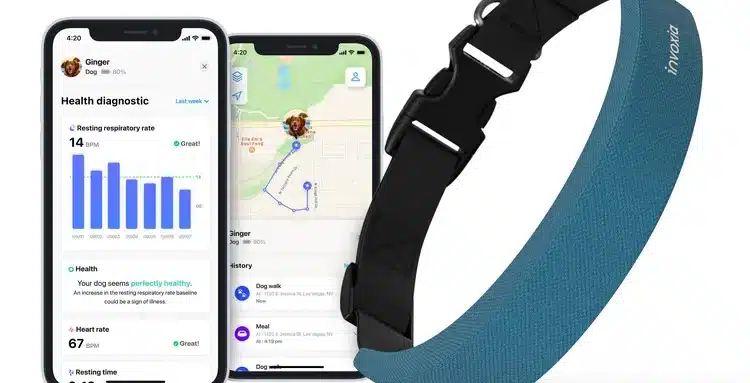 Invoxia smart dog collar