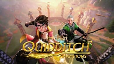 harry-potter-champions-de-quidditch