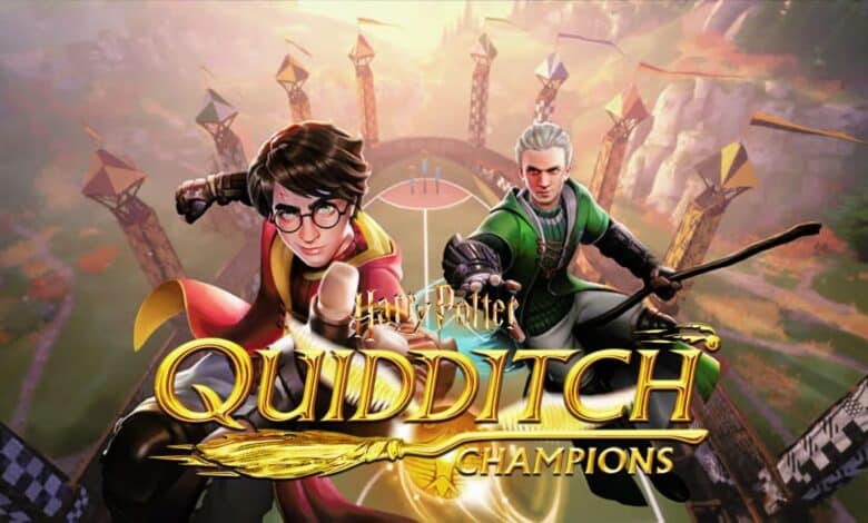 harry-potter-champions-de-quidditch