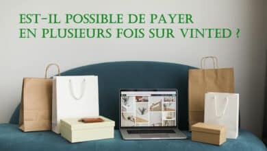 payer plusieurs-fois vinted