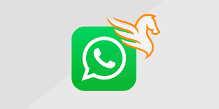 Pegasus sur WhatsApp