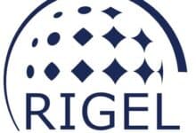 Rigel présente ses plans d'expansion mondiale lors d'une réunion stratégique.