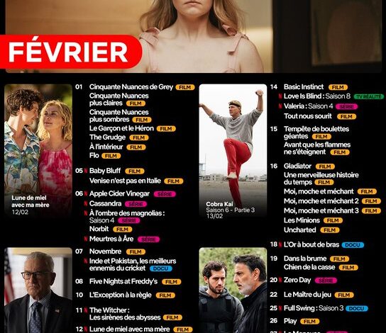 Agenda Netflix Février 2025