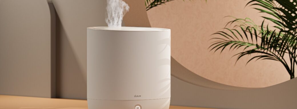 Prendre soin des plantes en hiver et maintenir le bon taux d’humidité avec Neo de Duux