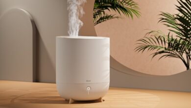 Prendre soin des plantes en hiver et maintenir le bon taux d’humidité avec Neo de Duux