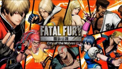 fatal-fury-cotw-personnages