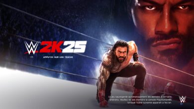 WWE 2K25