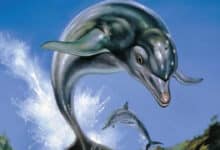 ecco-the-dolphin