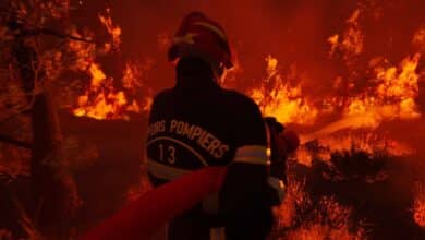 rescue-ops-wildfire