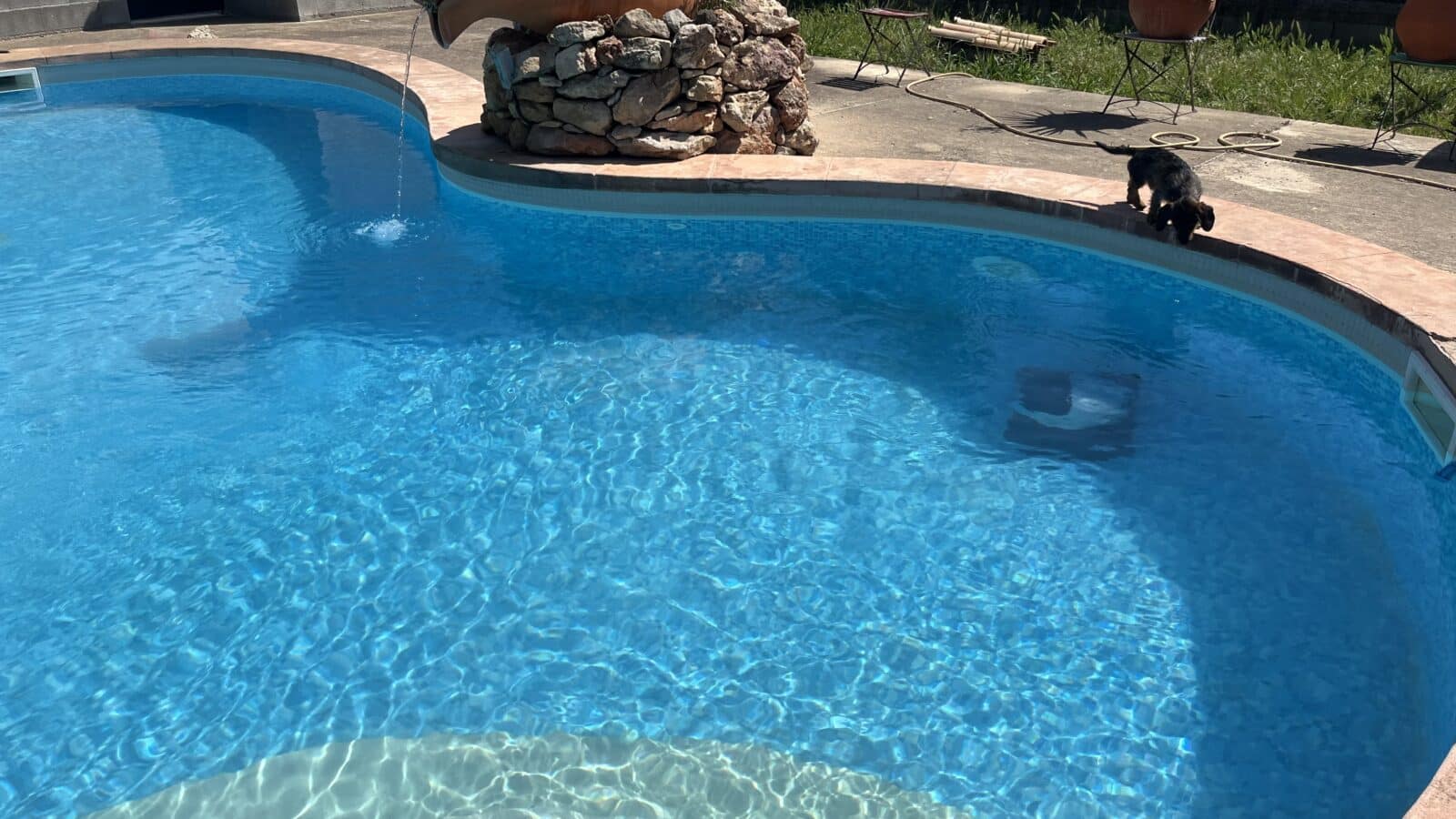 Dreame Z1 Pro dans une grande piscine en forme de haricot