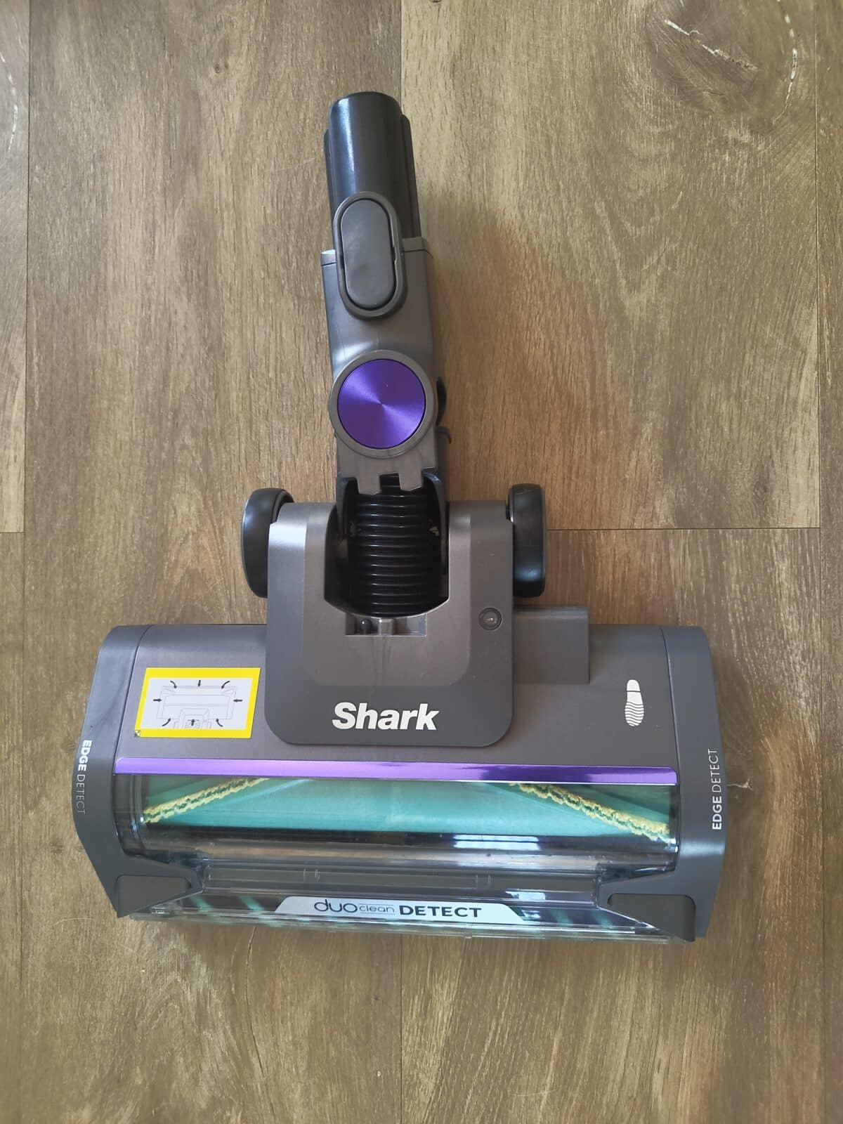 Shark unboxing